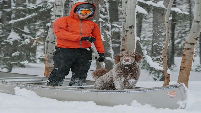 Winter Activities with Dogs