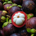 Health Benefits of Mangosteen Fruit (Garcinia mangostana Linn)
