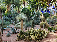 Majorelle Gardens