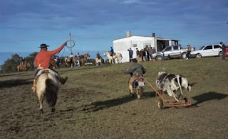 Chácara Bela Vista realizará Rodeio de Vaca Mecânica