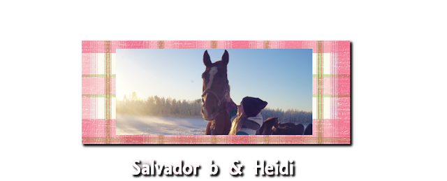 Salvador B & Heidi