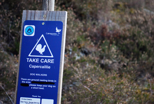 Capercaillie sign - Glen Tanar Estate walk