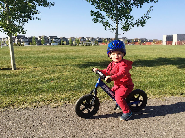 Strider Bike for Toddlers