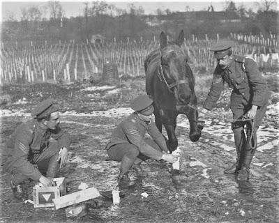 three world war one soldiers treating a war horse's injured leg.