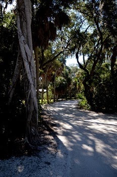 campground road