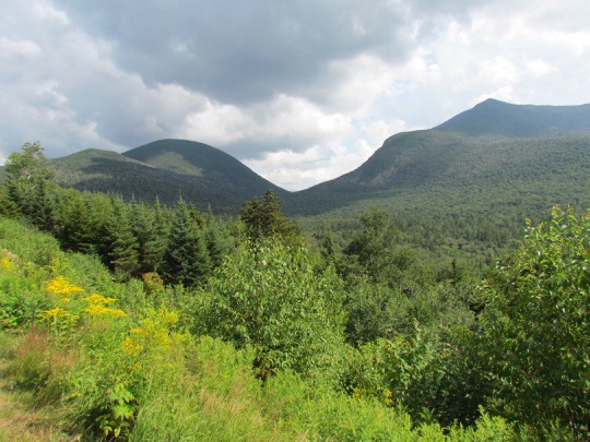 LandscapeScenes-8-2015-07-27-20-15.jpg