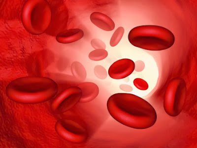 More food useful for the treatment of anemia