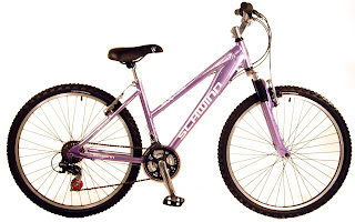 women mountain bike Schwinn