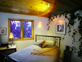bedroom design seemed in jungle