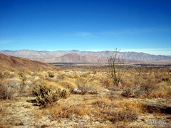 IMG_3322