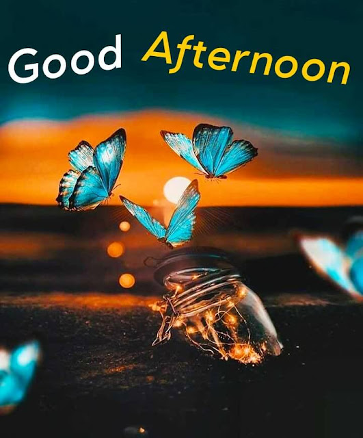 Good Afternoon Images Download, Good Afternoon Images For Whatsapp, good afternoon images download hd, good afternoon image new, good afternoon images, romantic good afternoon images,