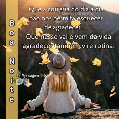 Que a correria do dia a dia  não nos permita esquecer de agradecer... Que nesse vai e vem da vida  agradecer também vire rotina. Boa Noite!