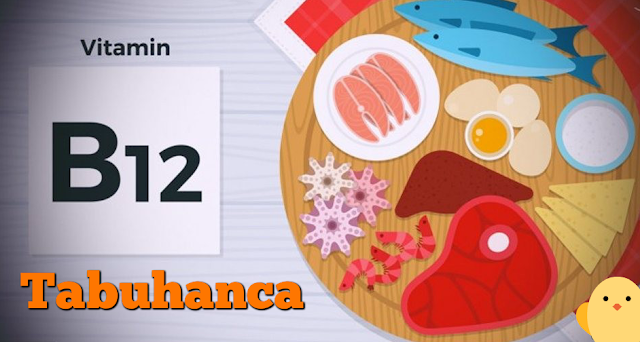 B12 Vitamini Nedir