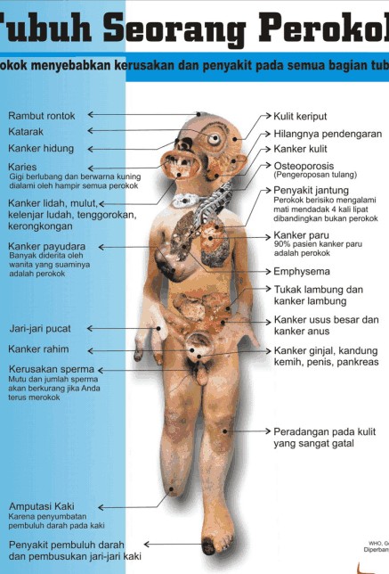 Welcome ^^: Bahaya Merokok bagi Diri Sendiri dan Orang Lain