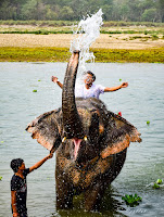 Elephant Bath at Chitwan National Park