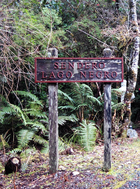 Sendero Lago Negro, Parque Pumalín, Chile