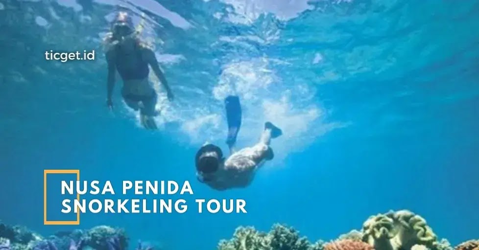 snorkeling-tour-nusa-penida-to-enjoy-great-experience