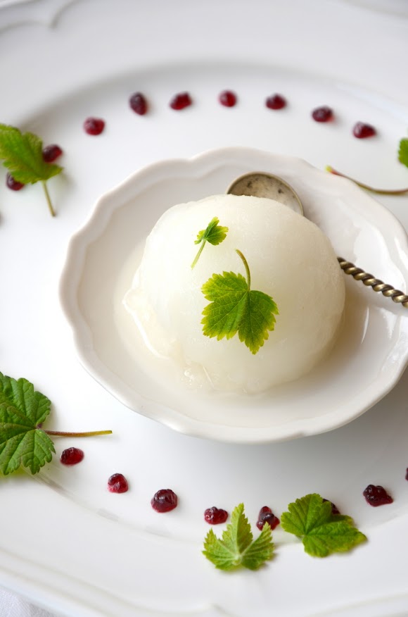 Weißes Sorbet von Johannisbeerblättern auf einem weißen Teller, rundherum sind Punkte von Johannisbeermarmelade und frische Johannisbeerblätter zu sehen.