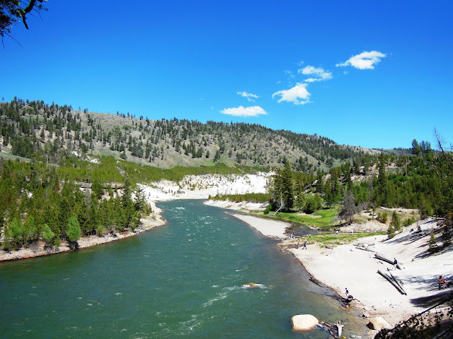 Yellowstone River On Tower Falls Hiking Yellowstone National Park