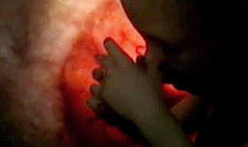 Curiosity: Life Before Birth