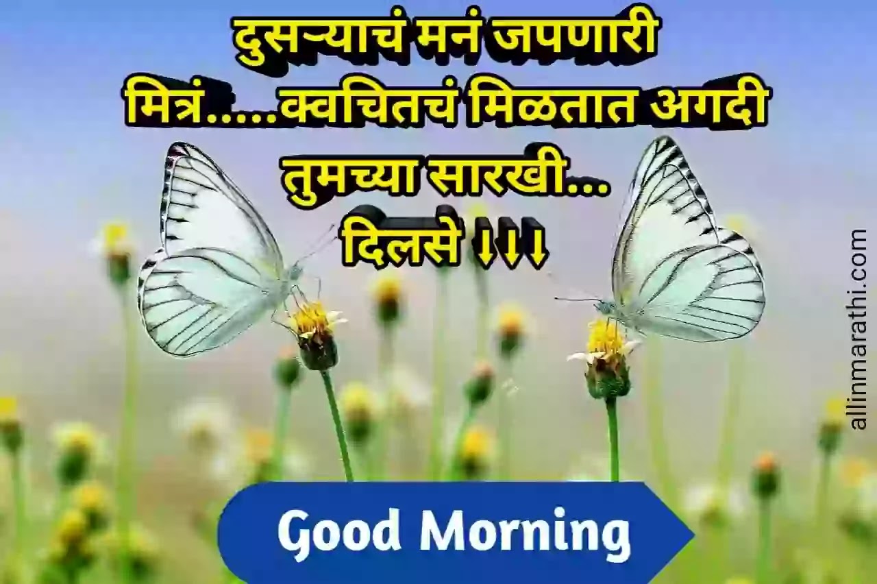 Good morning wishes for friends