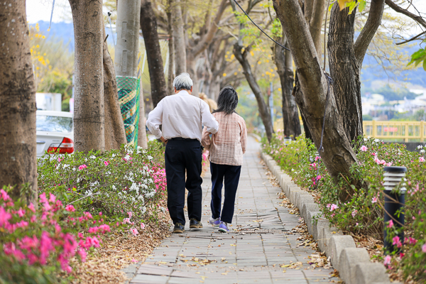 彰化社頭杜鵑花大道綿延1公里3色杜鵑花，還有風鈴木和裝置藝術