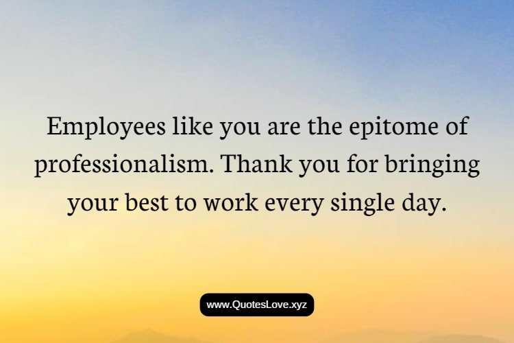 Support Staff Appreciation Appreciation Motivational Quotes For