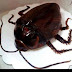 That's Actually a Cake