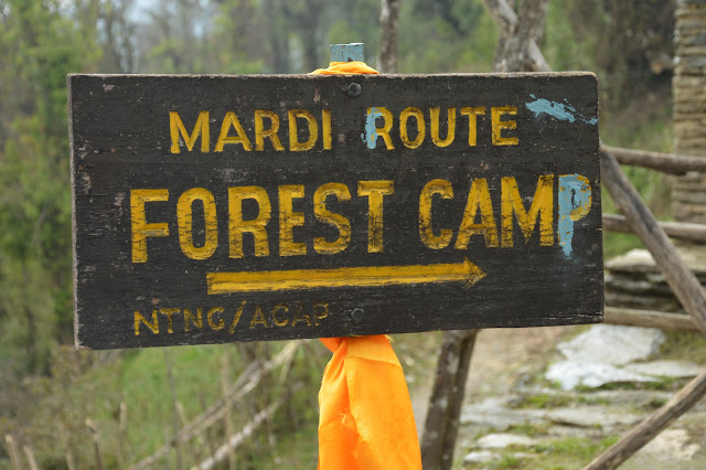 Forest camp Mardi Himal trek