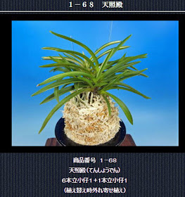  http://www.fuuran.jp/1-68.html