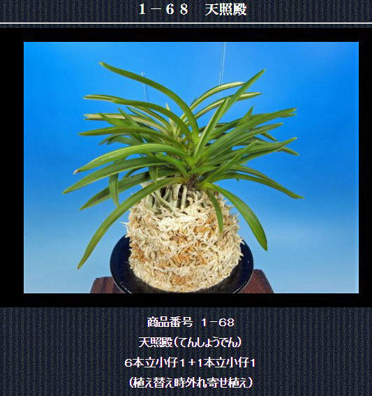  http://www.fuuran.jp/1-68.html