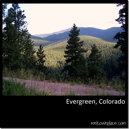 evergreen