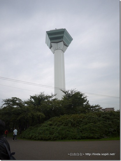 P1030799