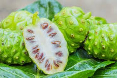 Manfaat Buah Mengkudu Untuk Masker Wajah