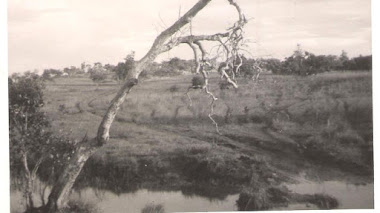 El Llano Magnificado y disminuido