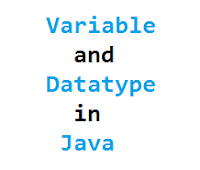 Variable and Datatype in Java