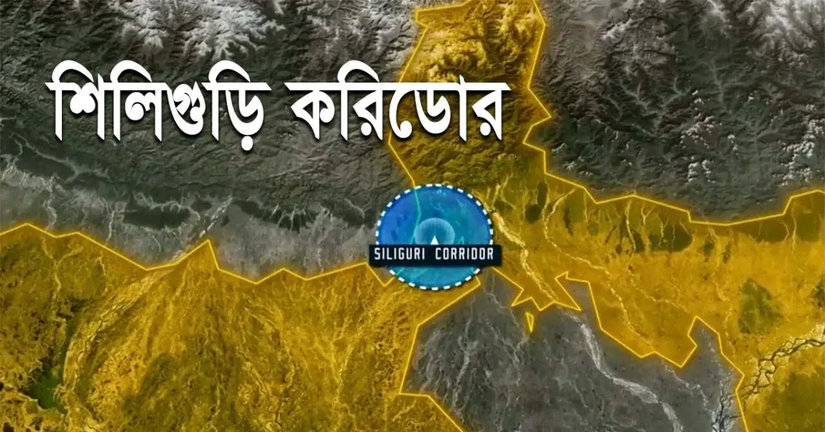 চিকেন নেক কি