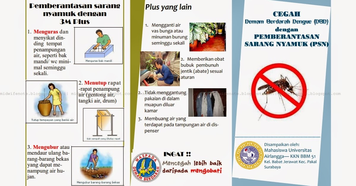 Kumpulan Materi Kebidanan: Leaflet Demam Berdarah Dengue 