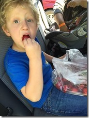 IMG_7558