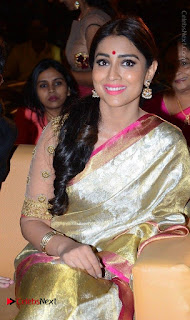 Actress Shriya Saran New Images in Silk Saree at Gautamiputra Satakarni Audio Launch  0004.jpg