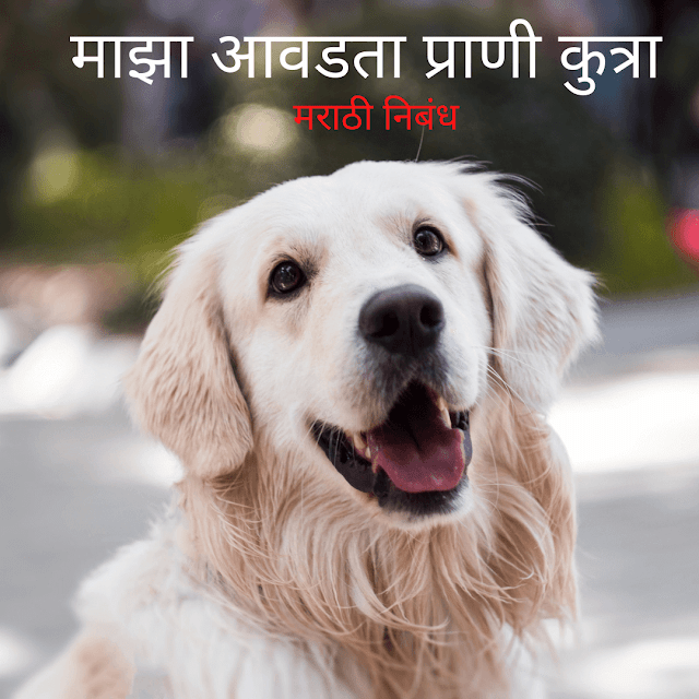 माझा आवडता प्राणी कुत्रा मराठी निबंध | Maza Avadta Prani kutra Marathi Nibandh | My favorite animal dog