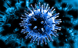 코로나-19 같은 독감 바이러스