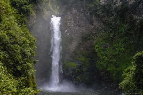 Swimming in Tappiya Falls