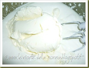 Semifreddo all'amaretto con zucchero di canna, formaggio cremoso e brandy (3)