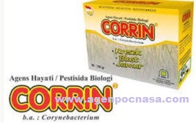 Agen Hayati Corrin