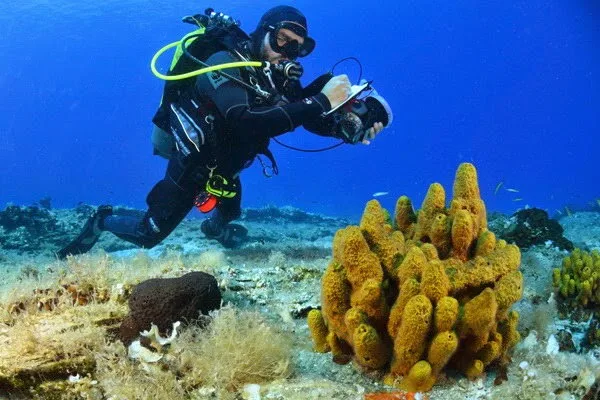 Θάλασσα: μια ανεκτίμητη αξία;