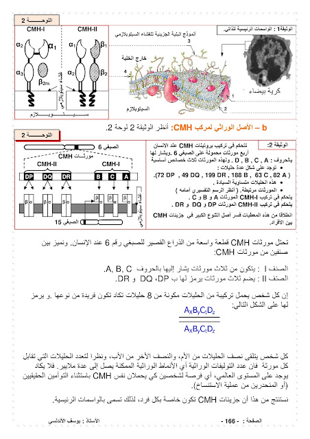 علم المناعة | مفهوم الذاتي وغير الذاتي