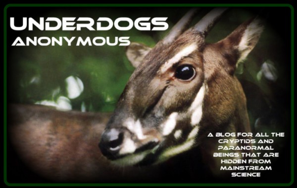 Welcome to Underdogs Anonymous, a Cryptid Blog!