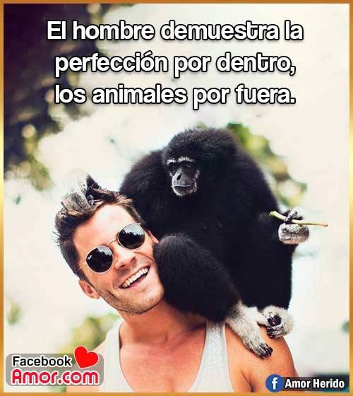 frases bonitas animales