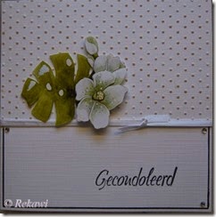 condolance